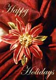 Poinsettia Star