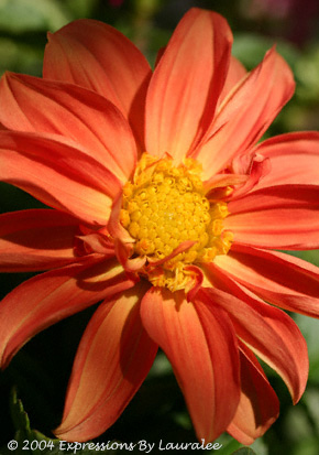 A Warm Glow