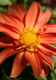 A Warm Glow