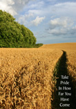 Oxfordshire Wheat Fields