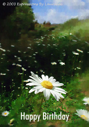 Field Of Daisies