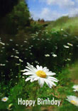 Field Of Daisies