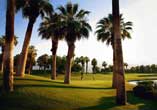 A Leisurely Round Of Golf