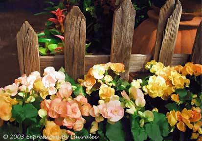 Garden Charm
