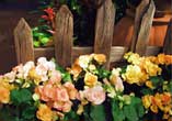 Garden Charm