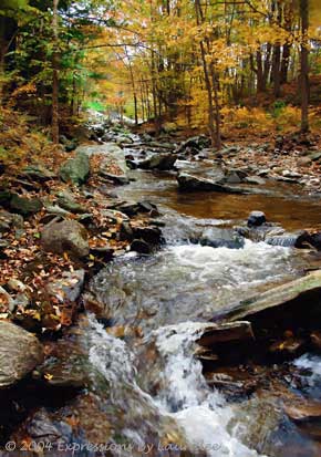 Revitalizing Waters