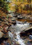 Revitalizing Waters