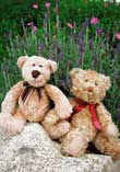 Buddy & Bear: Always By Your Side #2