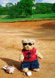 Bear In A Bunker