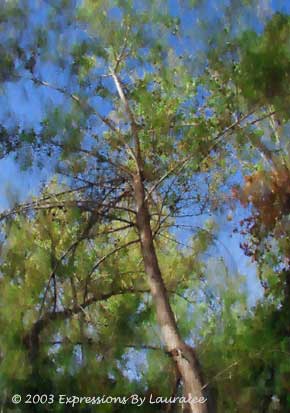 Branches Of Life