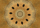 KKA-30909