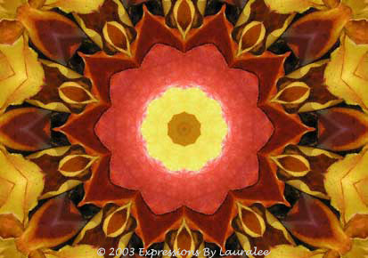Red & Gold