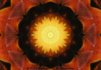 Yellow, Orange & Black