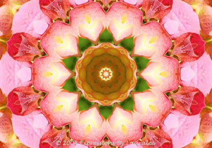 Pink & Yellow