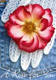 Victorian Pocket Rose