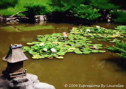 Pond Of Peace