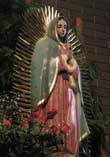 Precious Mary